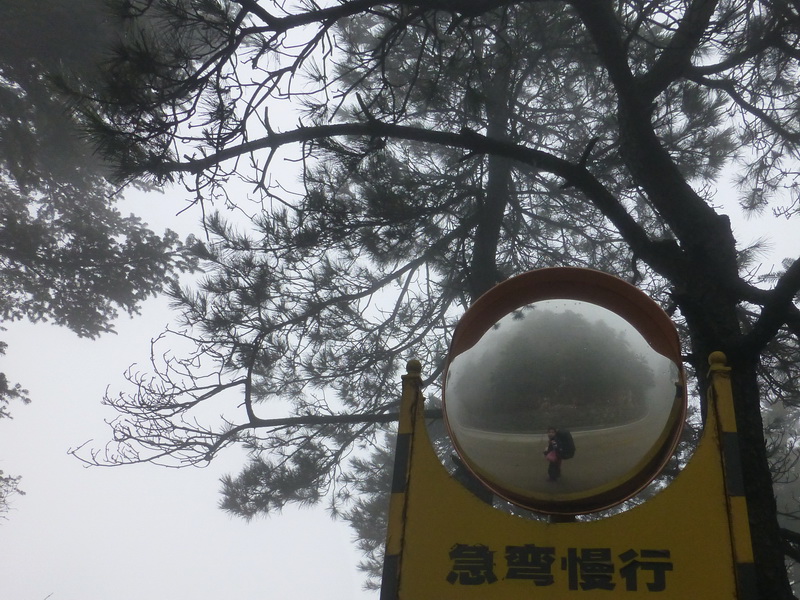 p1180815.jpg