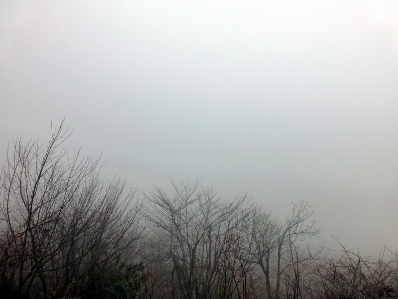 p1180822.jpg