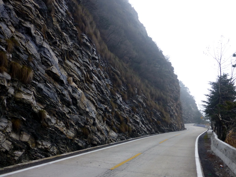 p1180831.jpg