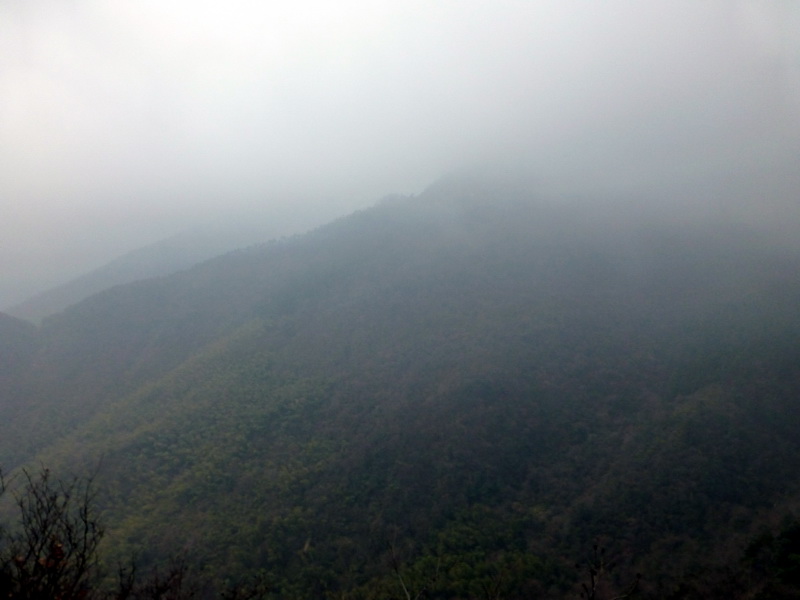 p1180833.jpg