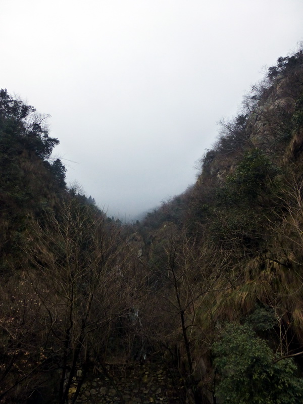 p1180848.jpg