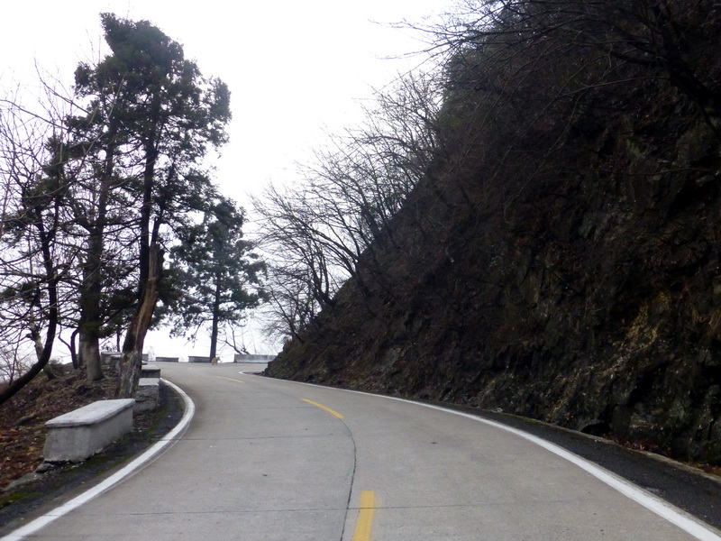 p1180852.jpg