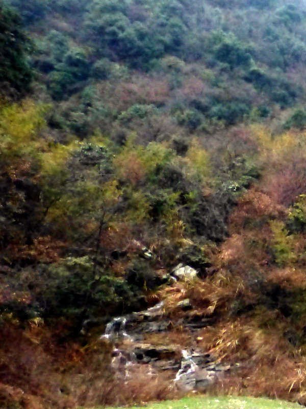 p1180859.jpg