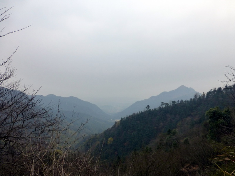 p1180862.jpg
