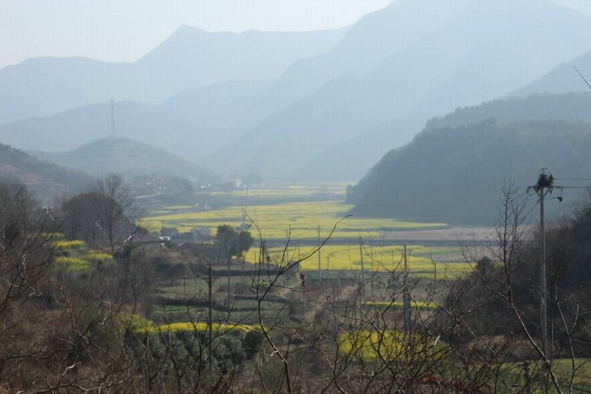 qq图片20140316101236.jpg