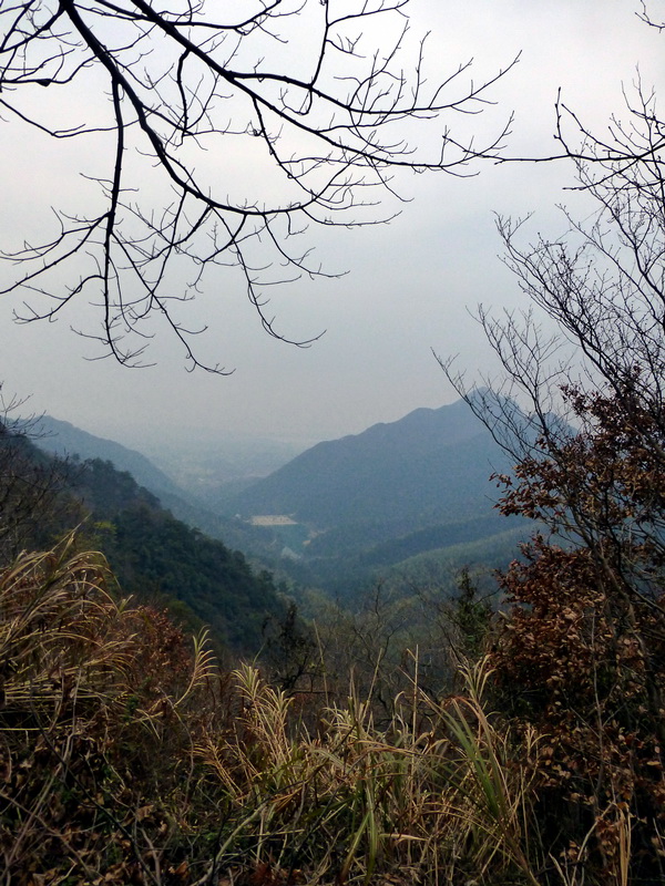p1180865.jpg