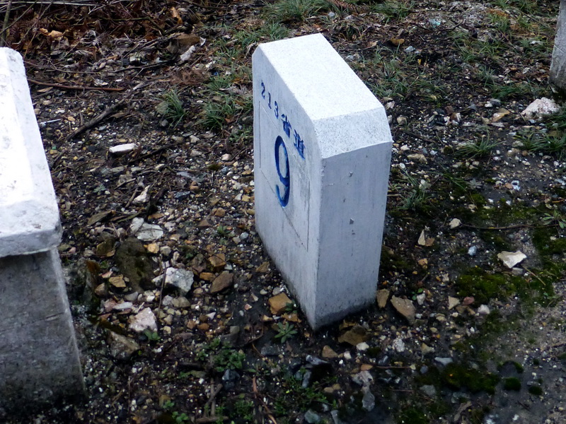 p1180869.jpg