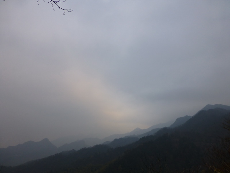 p1180867.jpg