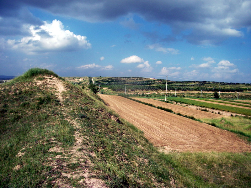 dscf0482.jpg