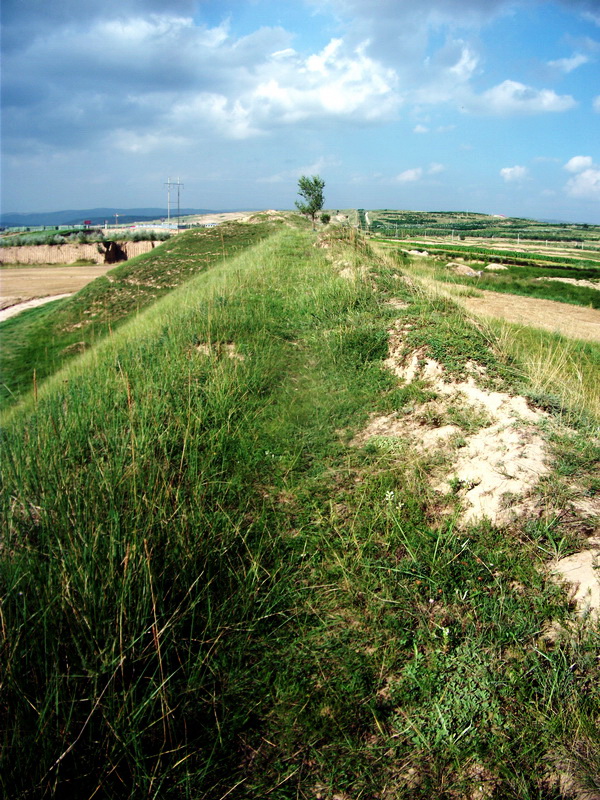 dscf0476.jpg