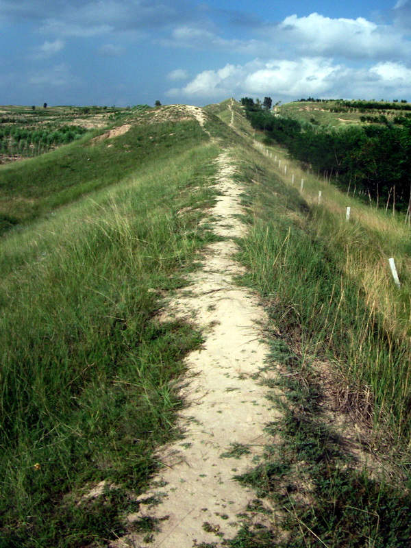 dscf0496.jpg