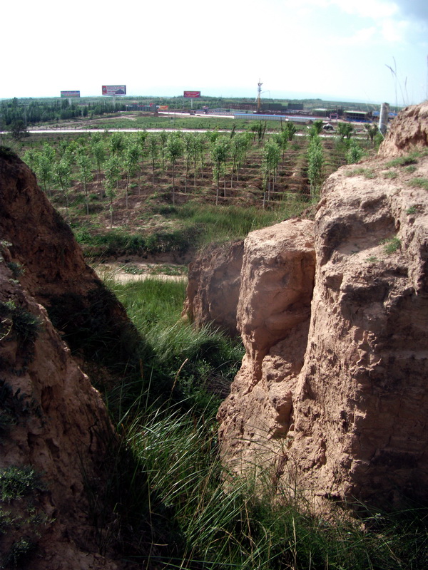 dscf0498.jpg