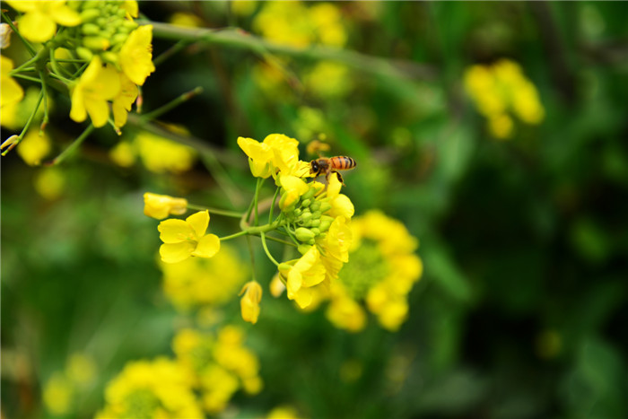2014 044_.jpg