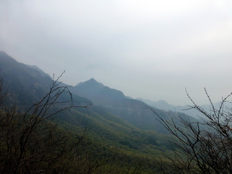 p1180841.jpg