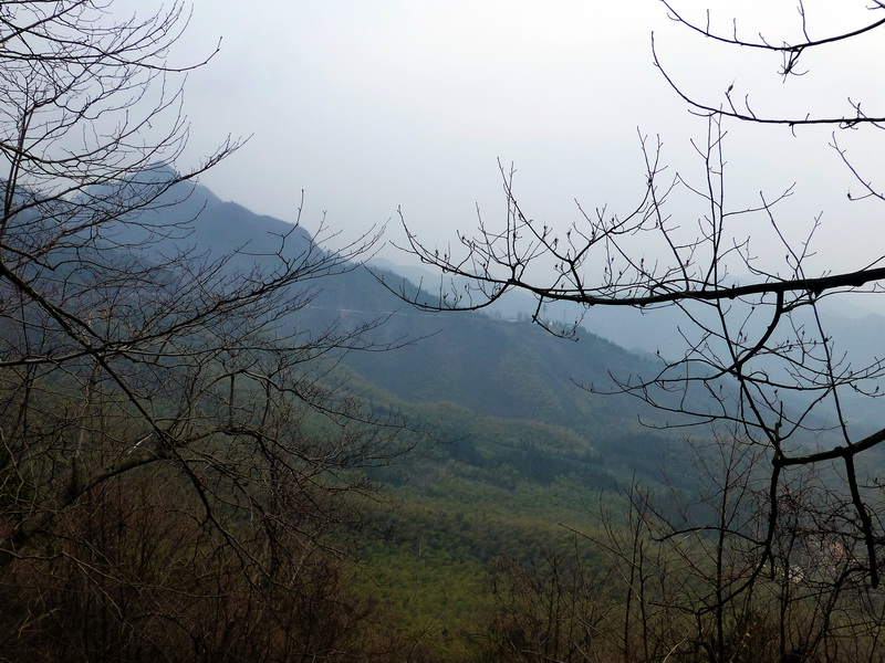 p1180842.jpg