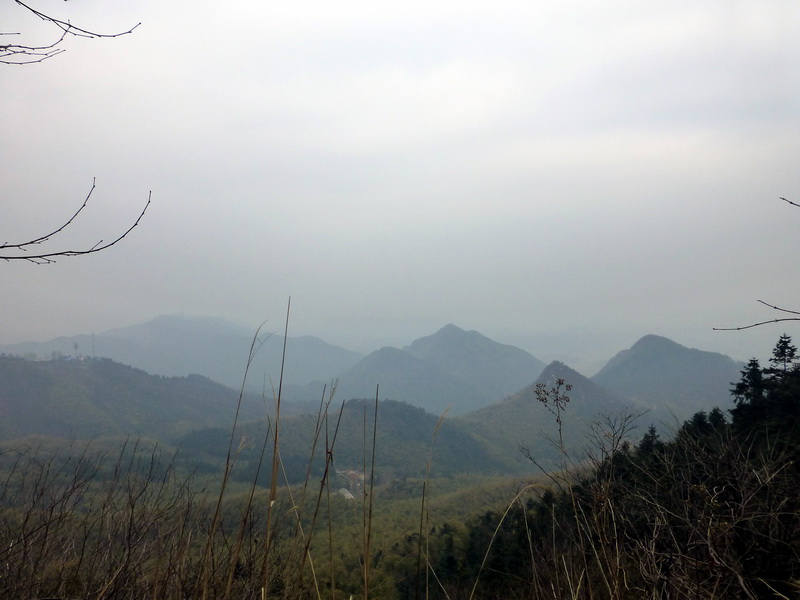 p1180843.jpg