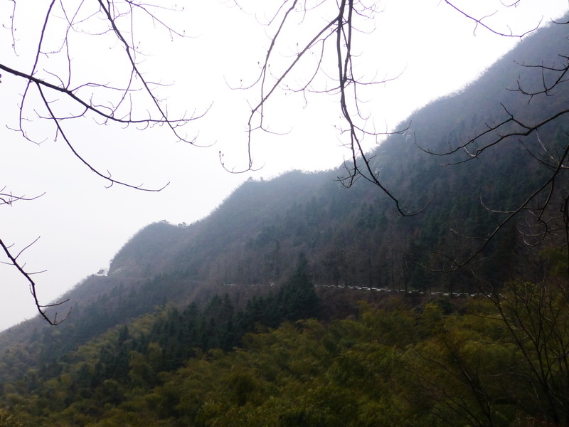 p1180844.jpg