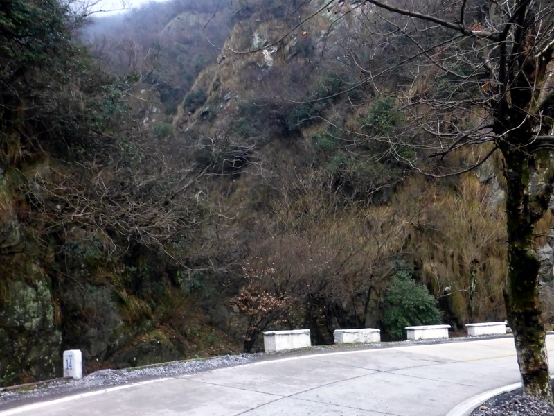 p1180847.jpg