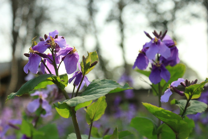 2014ӣ 053.jpg