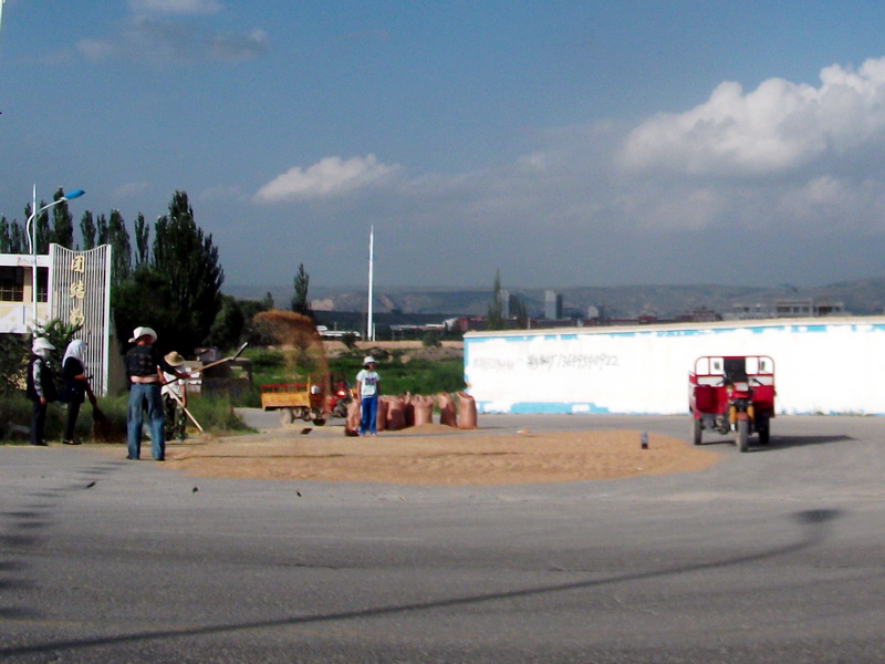 dscf0510.jpg