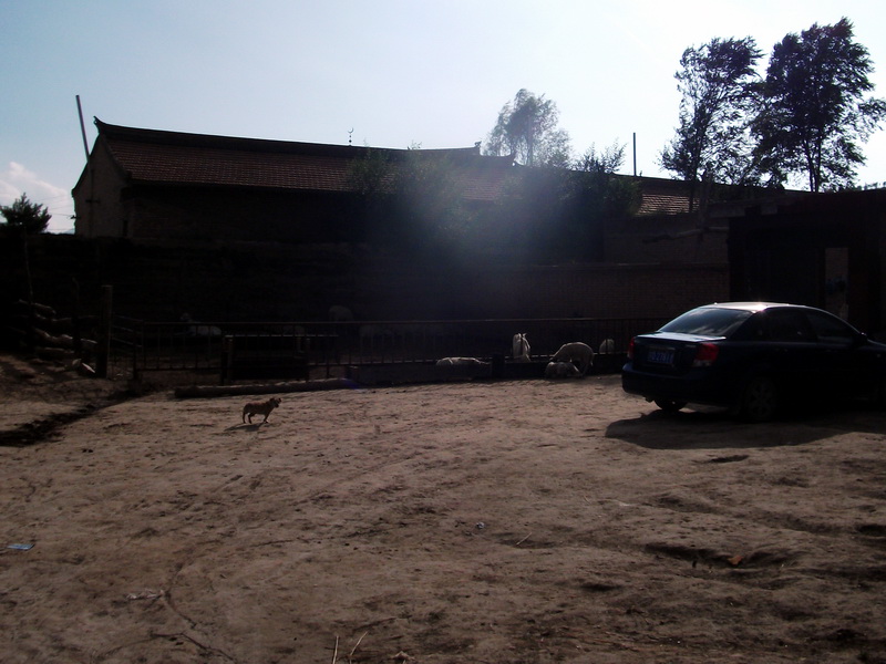 dscf0508.jpg