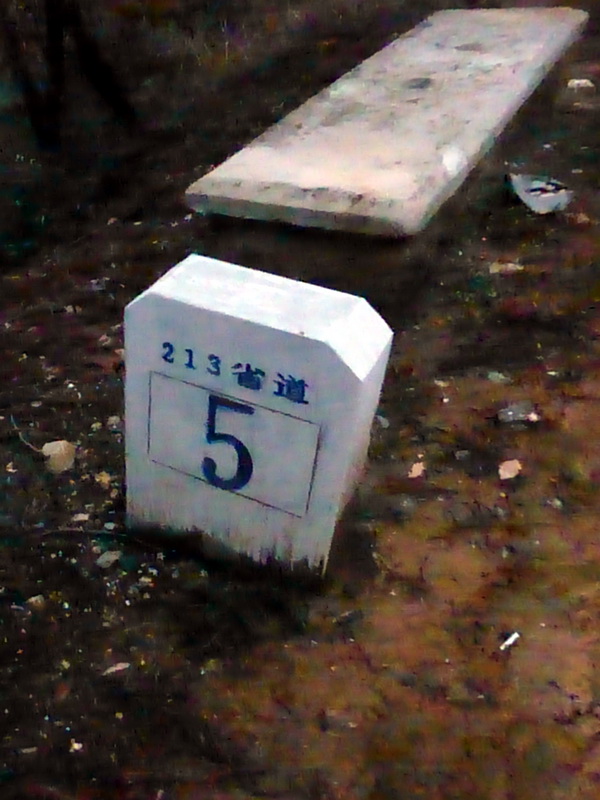 p1180879.jpg