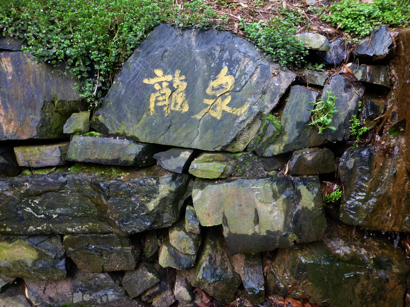 p1180946.jpg
