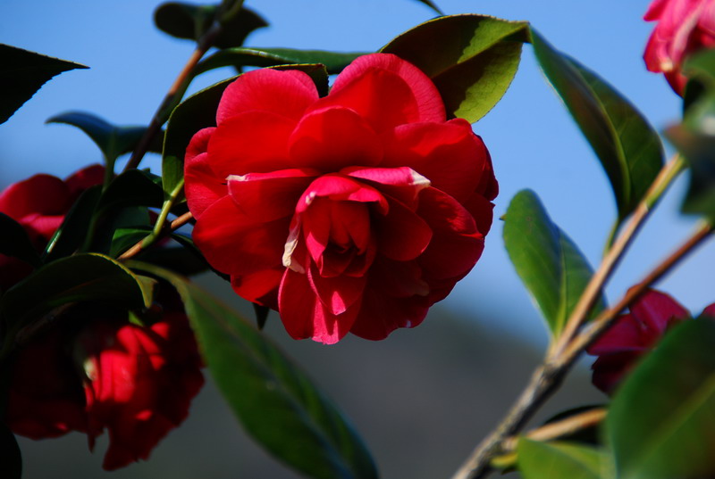 dsc_5872.jpg
