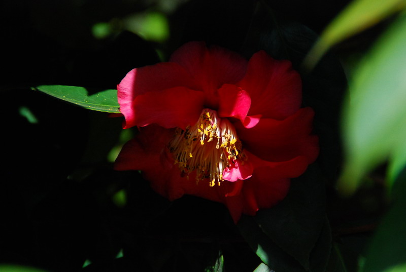 dsc_5902.jpg