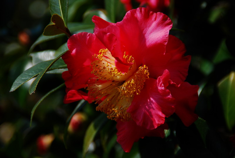 dsc_5963.jpg
