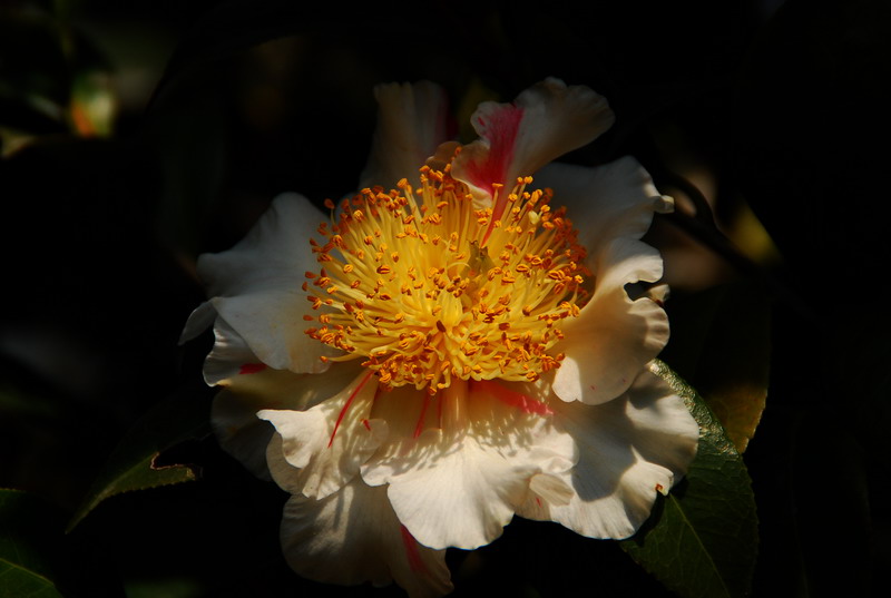 dsc_5967.jpg