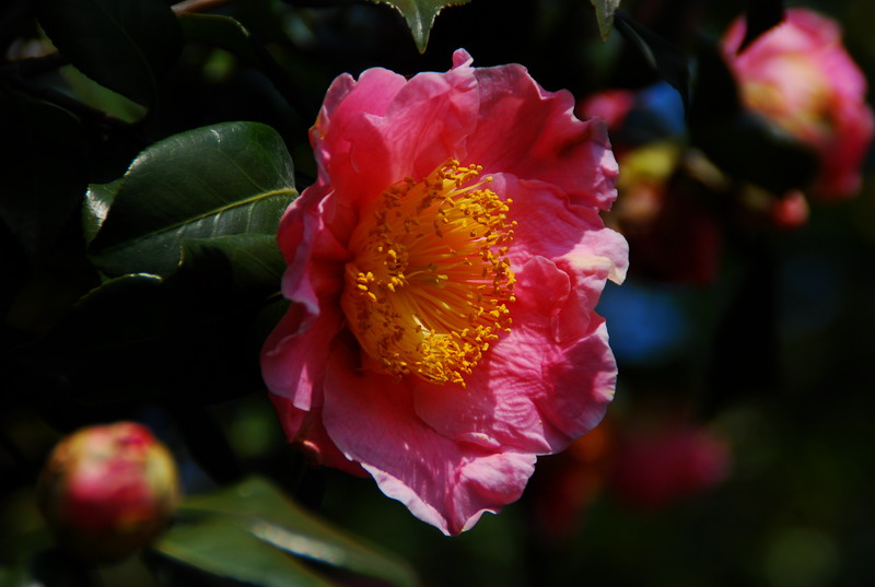 dsc_5984.jpg