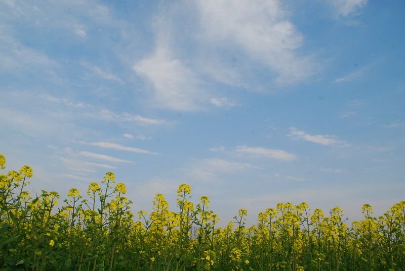 dsc_6168.jpg