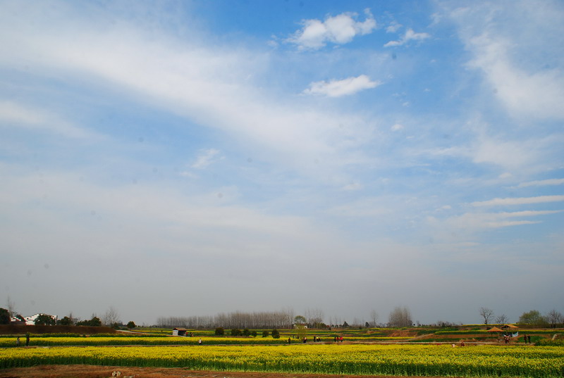 dsc_6176.jpg