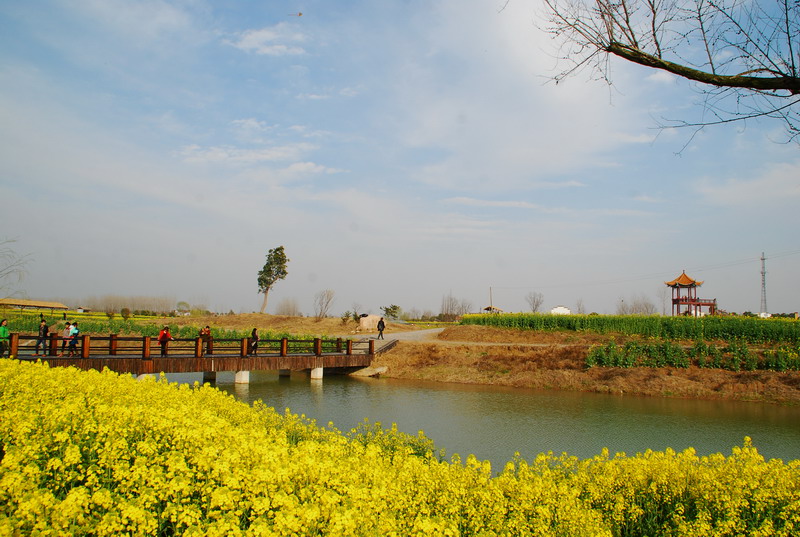 dsc_6200.jpg