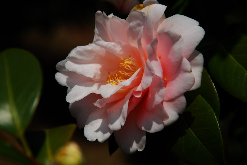 dsc_5939.jpg
