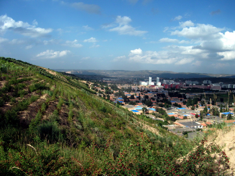 dscf0503.jpg