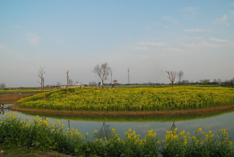 dsc_6343.jpg