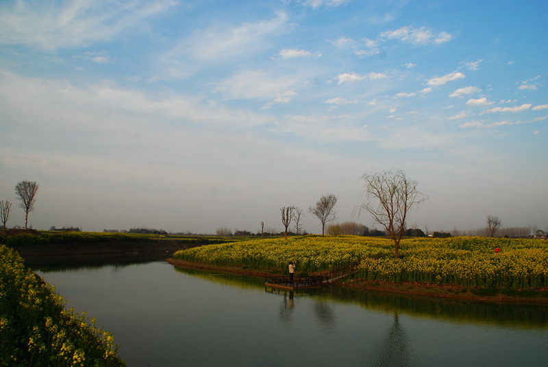 dsc_6353.jpg