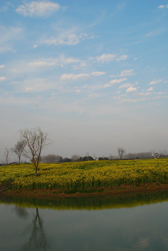 dsc_6371.jpg