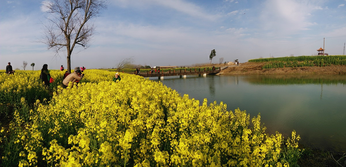 pano_20140315_164904.jpg