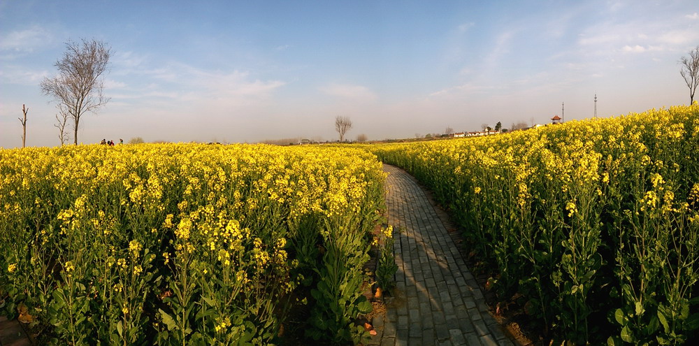 pano_20140315_172424.jpg