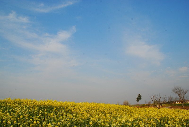 dsc_6270.jpg