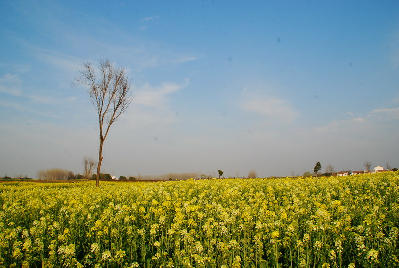 dsc_6282.jpg