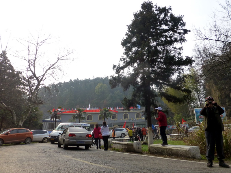 p1190002.jpg