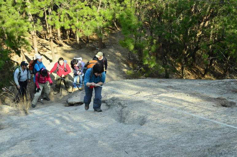 _dsc0062.jpg