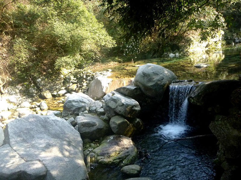 p1190164_.jpg