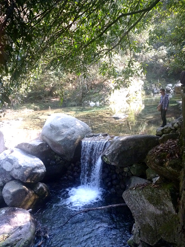 p1190165_.jpg