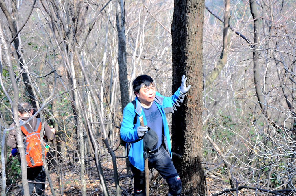 dsc_0207_.jpg