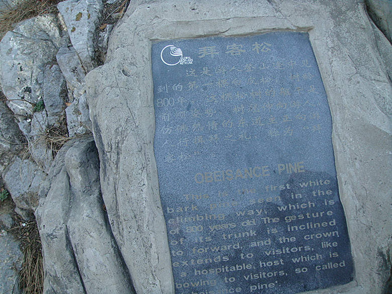 dsc03624_.jpg